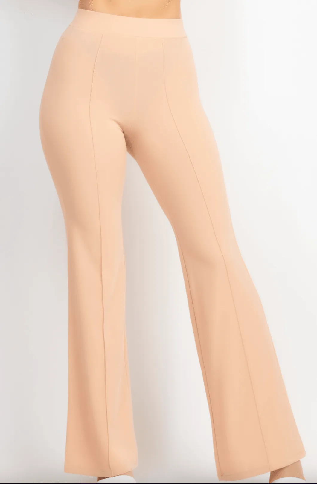 Haute Monde Fit Flare Pant  HMP40028