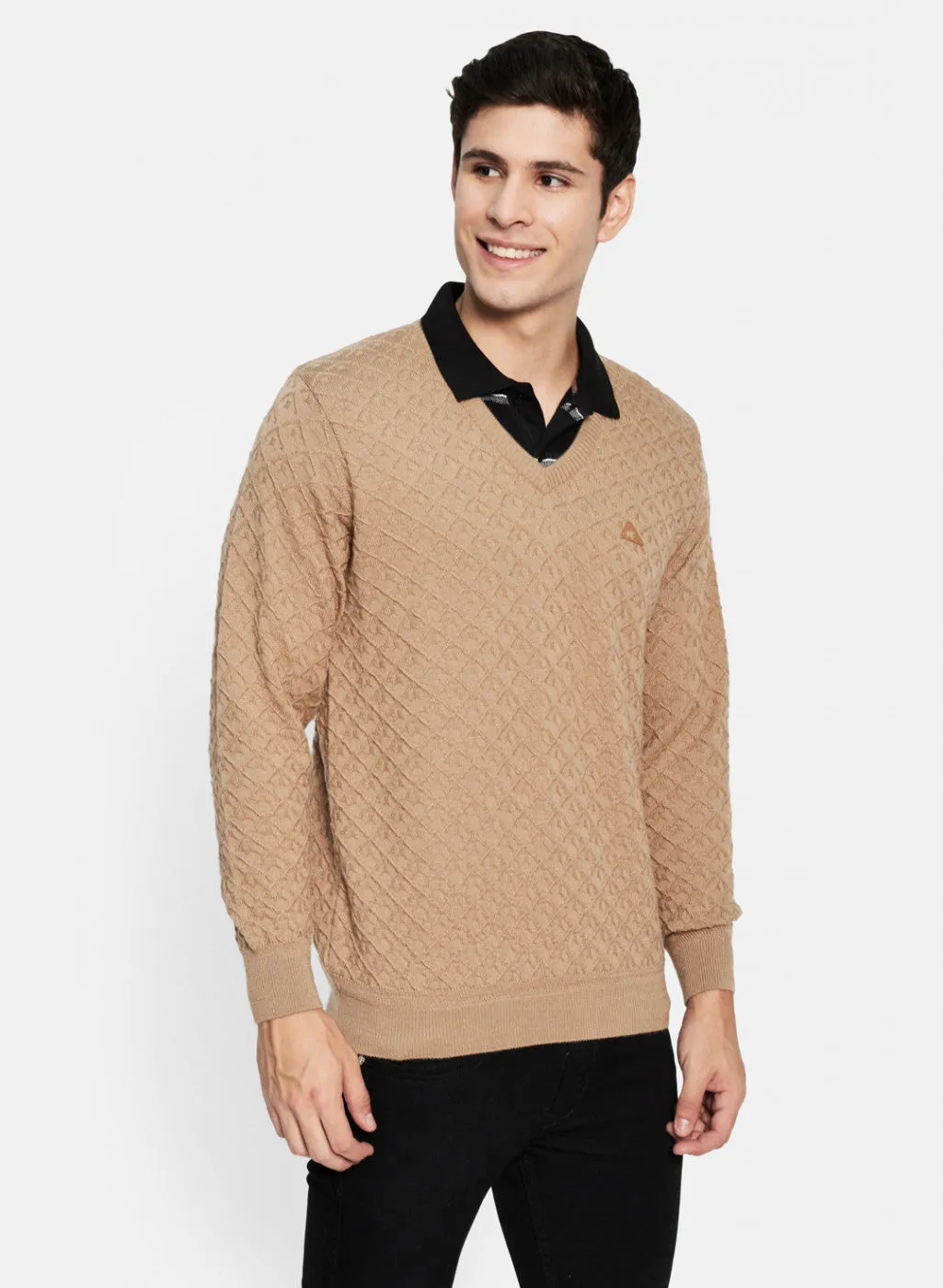 Men Beige Self Design Pullover