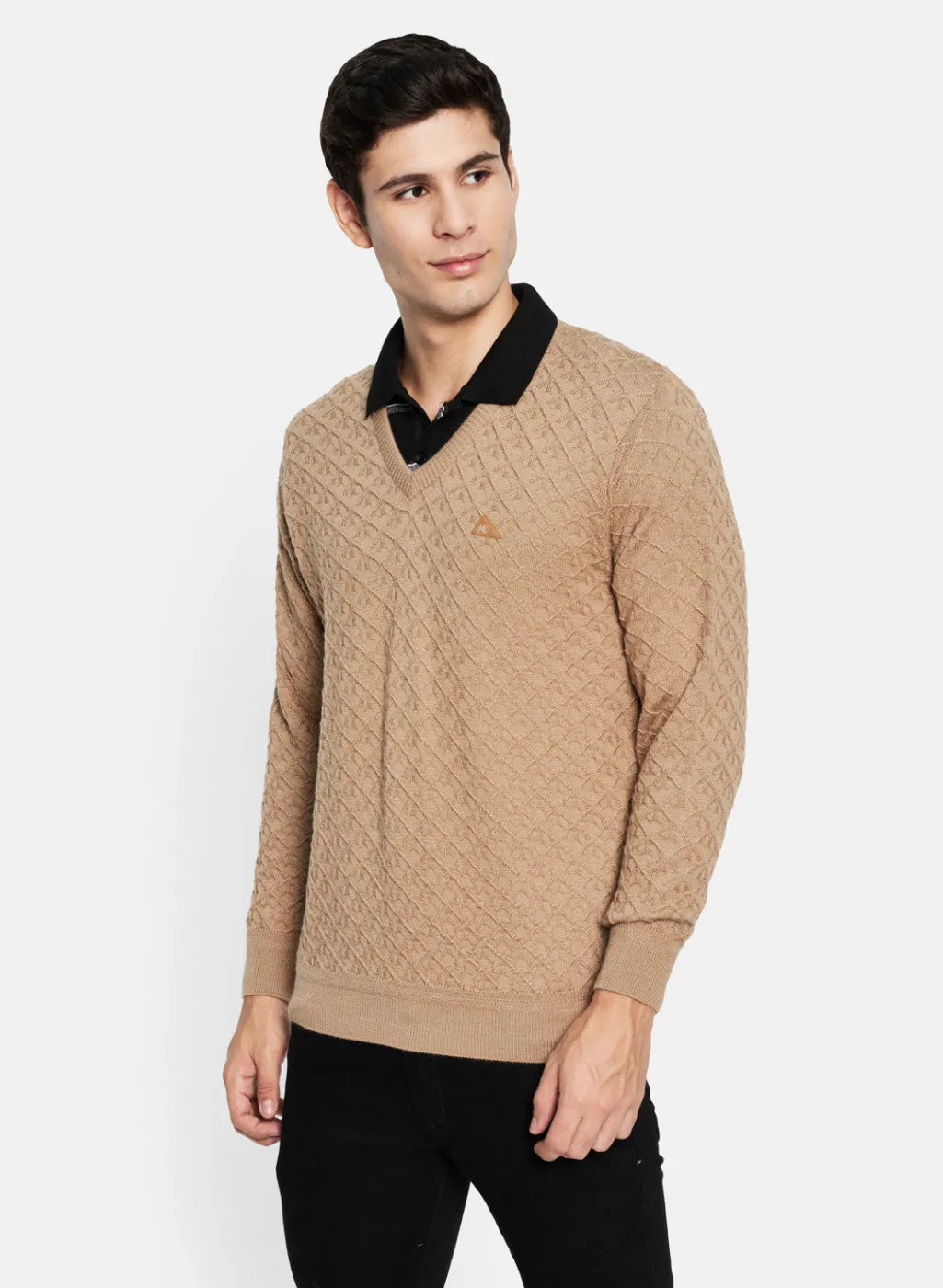 Men Beige Self Design Pullover