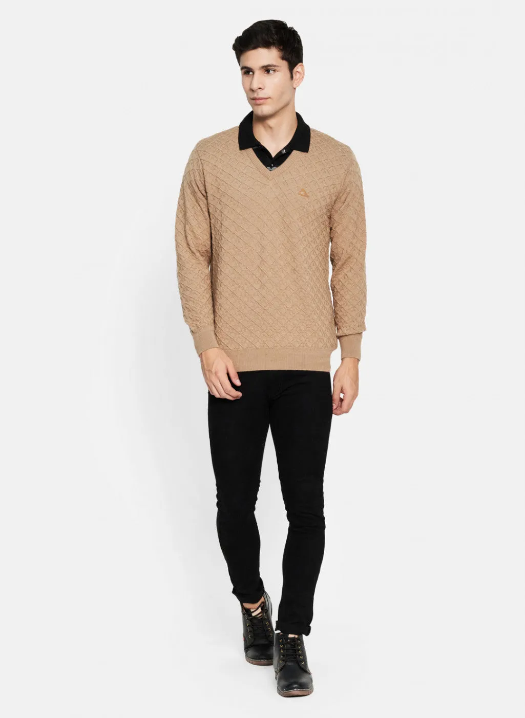 Men Beige Self Design Pullover