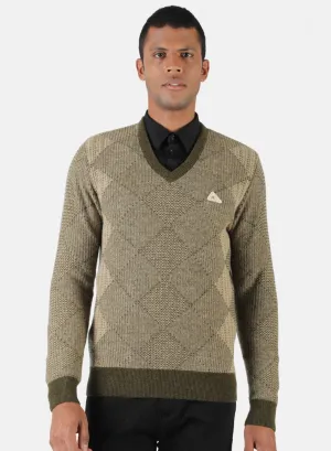 Men Brown & Green Solid Pullover