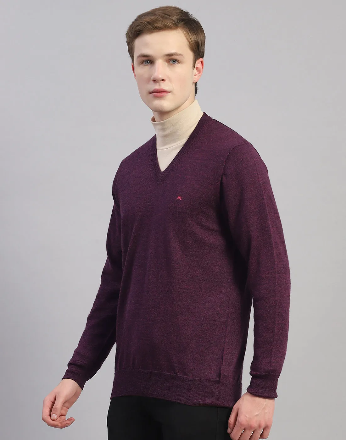 Men Purple Solid V Neck Full Sleeve Pullover