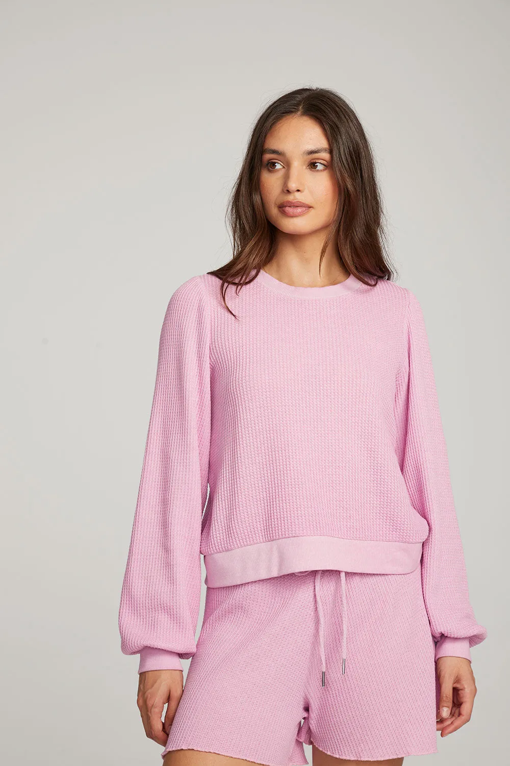 Owlsey Pastel Lavender Pullover