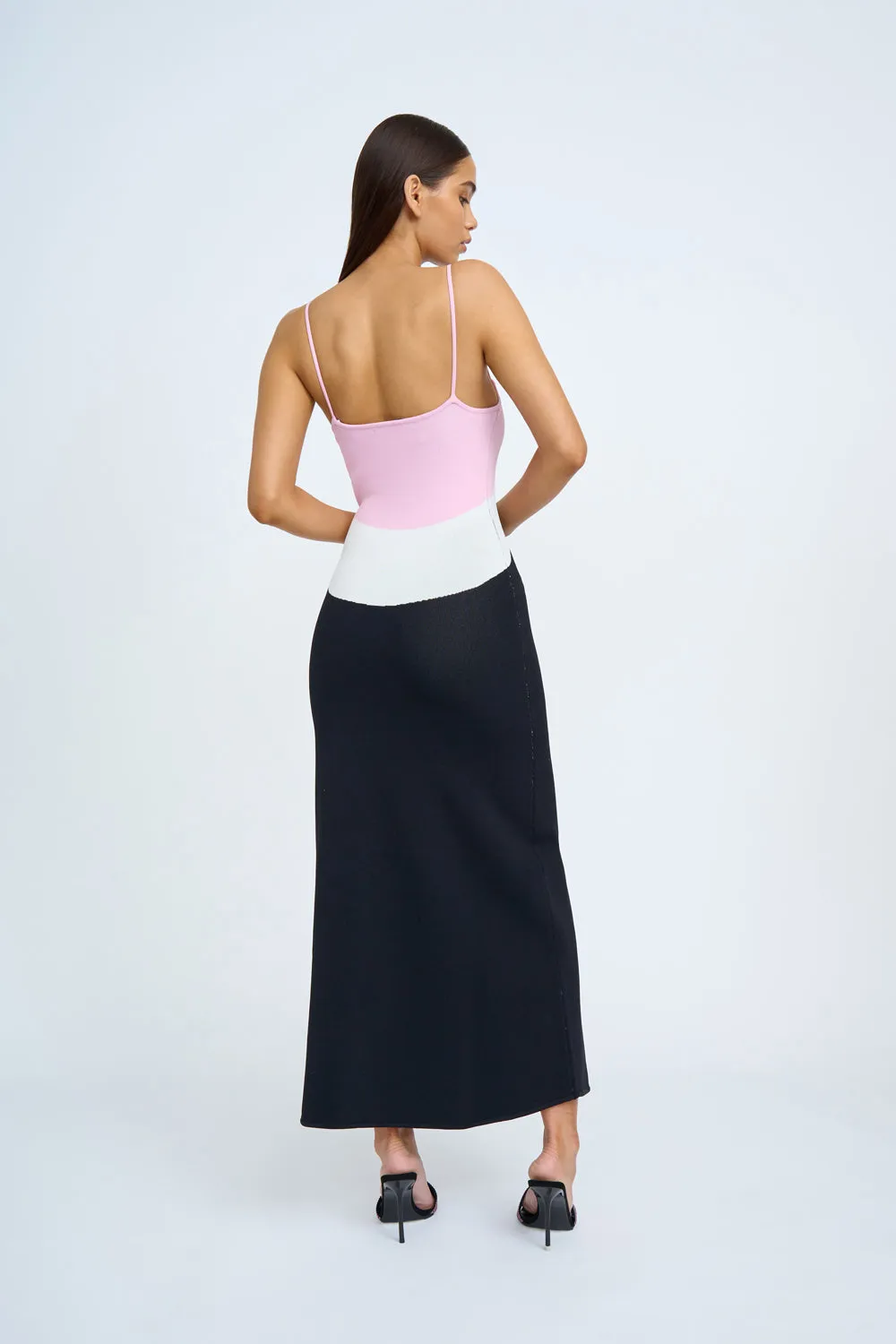 Rosa Curve Knit Dress | Final Sale- Ivory Pink Black